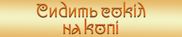 СИДИТЬ СОКІЛ НА КОПІ